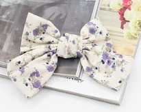 ���� �� �������