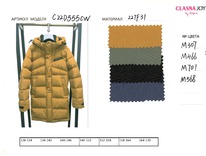 C22D555CW-M701 (������)