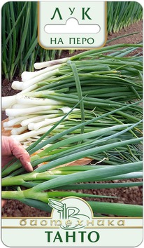 ��� �� ���� �����