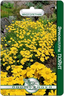 ���������� �����