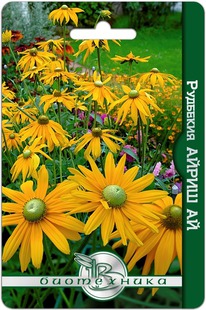 �������� ����� ��