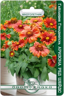 ��������� ����������� ������� ��� �����