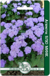 �������� ��� ����