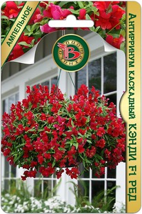 ���������� ��������� ����� F1 ���