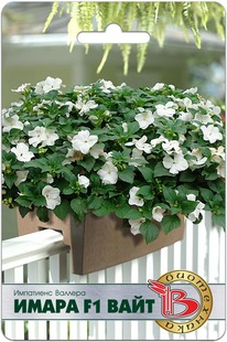 ��������� ������� ����� F1 ����