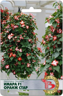 ��������� ������� ����� F1 ����� ����