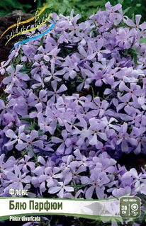 ����� ��� ������