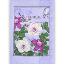 ��������� 45�60, �����, ��������� �������, 100 % ������,  ���� (������)