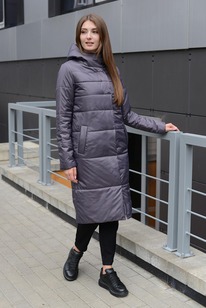 ������ ����