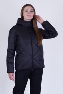 ������ ����