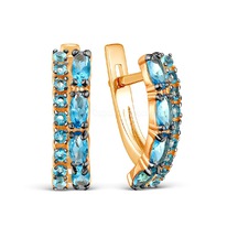 ������ �� ���������� ������� � ��������� ������� ����� ����� SWISS � �����������