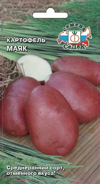 ��������� ����