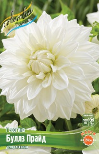 �������� ����� �����, ����� �����., �-� I