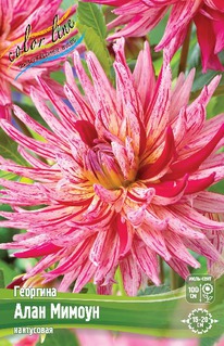 �������� ���� ������, ������., �-� I