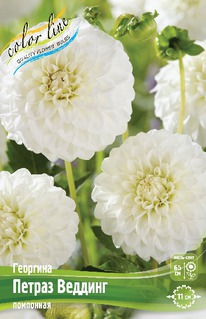 �������� ������ �������, �-� I, ����