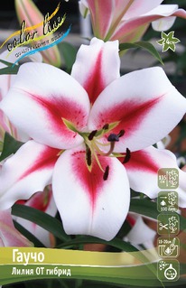 ����� �����, 14/16, ��