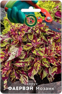 ������ ������� ������