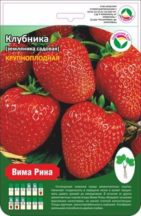 ��������� ���� ����