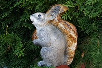 ������ ��� ���� ����� ����� ������ 25 ��