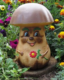 ������ ��� ���� ���� ������� ������ 34��