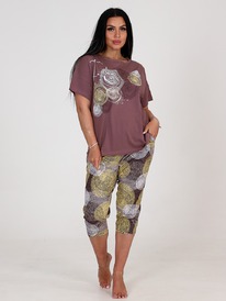 ��-207 ������ �������� ������ (������)