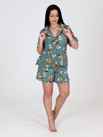 ���-5 ������� �������� ������ (������)