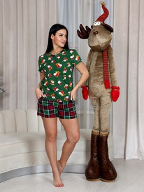 ��-425 � �������� ������ (������)