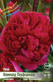 ���� ������� ����������, 2/3 n