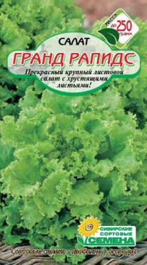 ����� ������ �����