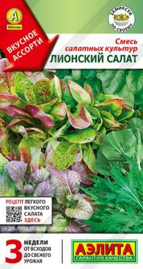 ����� �������� ������� �������� �����