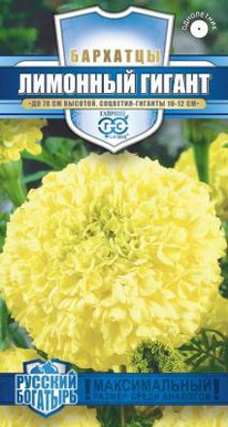 �������� ��. �������� ������