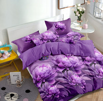 ������� ���������� ����� �� ������� ���� ��������� (1387)