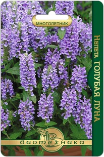 ������ ������� ����