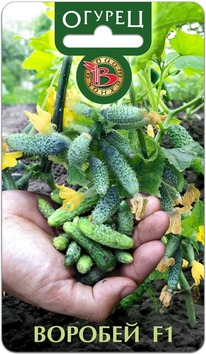 ������ ������� F1