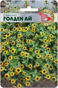 ���������� ������ ��