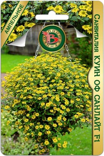 ���������� ���� �� ������� F1