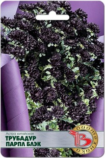 ����� ��������� �������� ����� ����