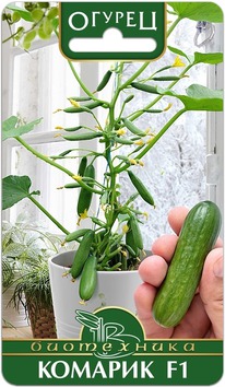 ������ ������� F1