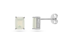 ������ �� ������� ������ ������, ���2005