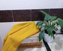 ������� ��������� ��������� ���������� ��� ���� 245�/�2 ���������