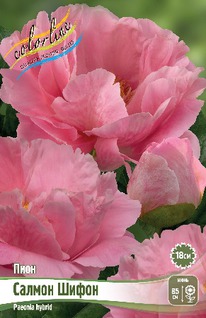 ���� ������ �����, 2/3 n