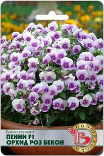 ����� ������� ����� F1 ����� ��� �����