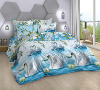 ������� ���������� ����� �� ���� ������� ��������� �����