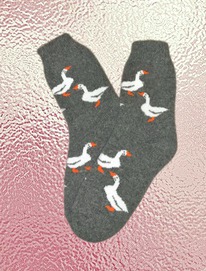 ����� ��������� �������, �� ���� �� ����씔