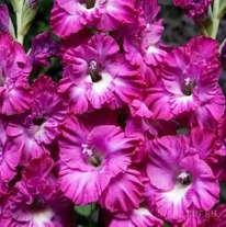 ��������� ������ ������ 5 ��.