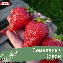 ��������� ����� �� 5 ��. ����� ��� ������