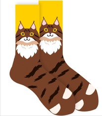 ����� �.35-40 