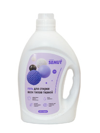 SEMUT  /.   , 3 (2024)