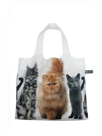 ��� ���� ������ 4 ����� �����������, �����-������