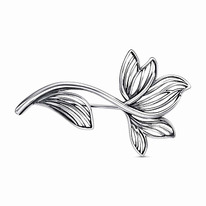 ����� ������ �� �������